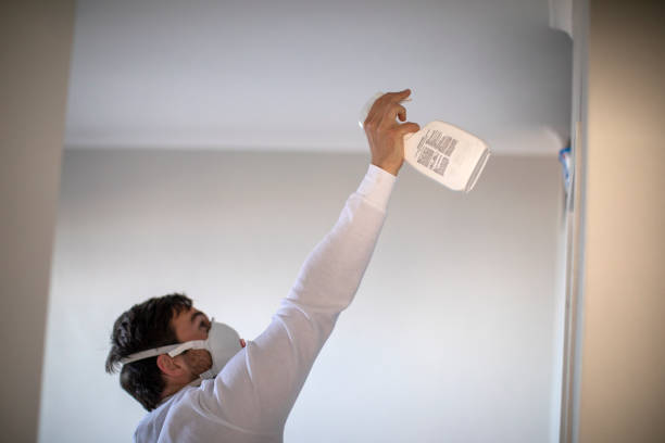 Best Mold Testing and Removal  in Temple Terrace, FL