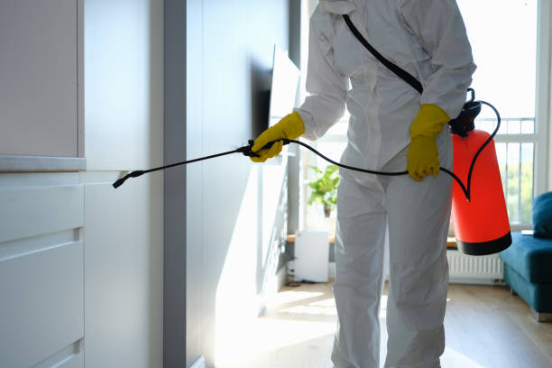 Best Toxic Mold Removal  in Temple Terrace, FL