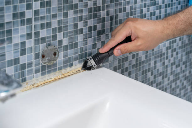 Best Office Mold Removal Services  in Temple Terrace, FL