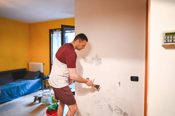 Best Home Mold Removal  in Temple Terrace, FL